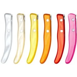 Coffret Hêtre Berlingot Ménagère 24P Manche Nacrine Panachée